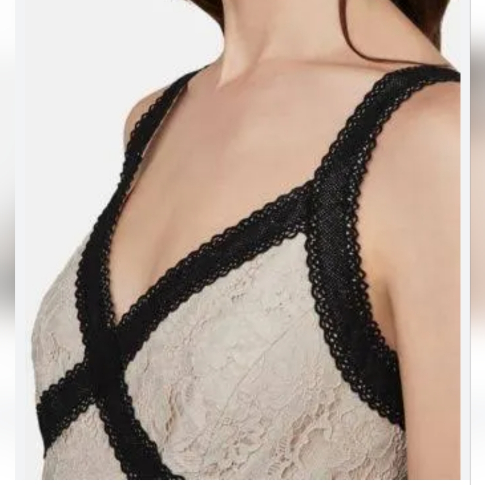 BCBGMAXAZRIA Bare Lace Dress with Black Accents - Picture 9 of 9